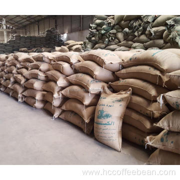 chinese green coffee beans export